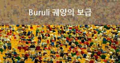 Buruli 궤양의 보급