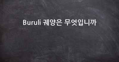 Buruli 궤양은 무엇입니까