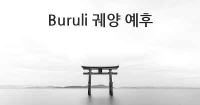 Buruli 궤양 예후