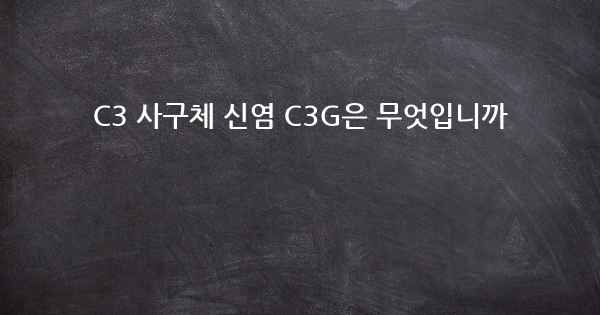 C3 사구체 신염 C3G은 무엇입니까