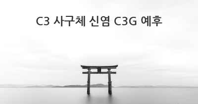 C3 사구체 신염 C3G 예후