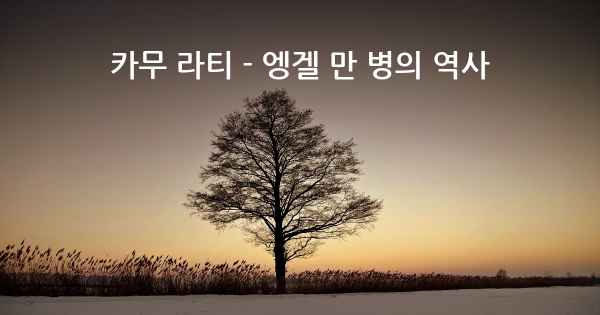 카무 라티 - 엥겔 만 병의 역사