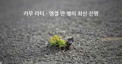 카무 라티 - 엥겔 만 병의 최신 진행