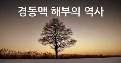 경동맥 해부의 역사