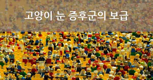 고양이 눈 증후군의 보급