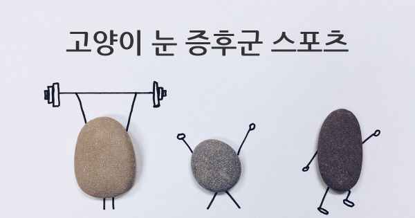 고양이 눈 증후군 스포츠