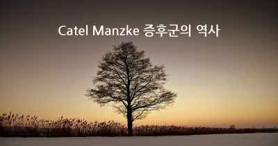 Catel Manzke 증후군의 역사