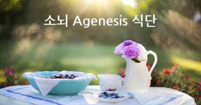 소뇌 Agenesis 식단