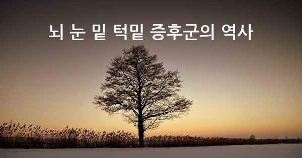 뇌 눈 밑 턱밑 증후군의 역사