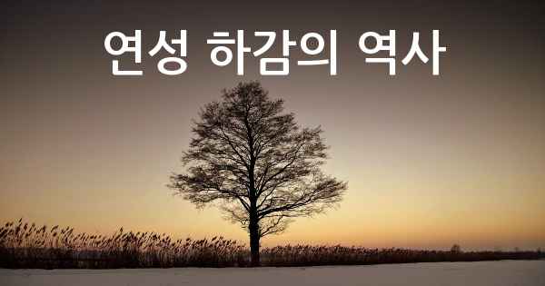 연성 하감의 역사