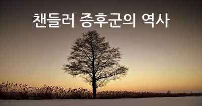 챈들러 증후군의 역사