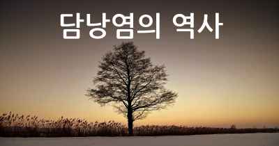 담낭염의 역사