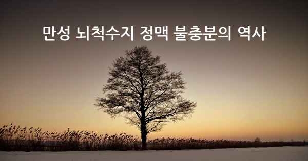 만성 뇌척수지 정맥 불충분의 역사