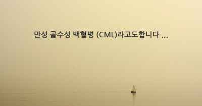 만성 골수성 백혈병 (CML)라고도합니다 ...