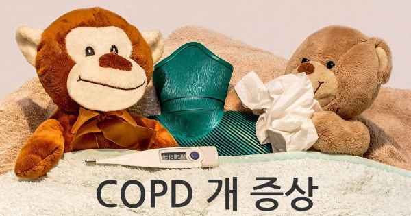 COPD 개 증상