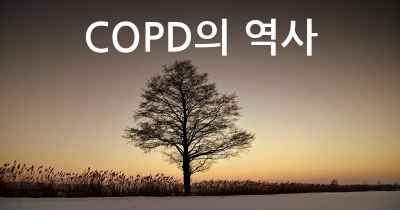 COPD의 역사