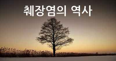 췌장염의 역사