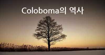 Coloboma의 역사