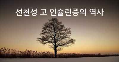 선천성 고 인슐린증의 역사