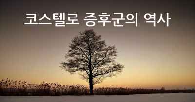 코스텔로 증후군의 역사