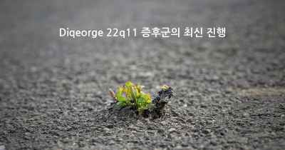 Diqeorge 22q11 증후군의 최신 진행