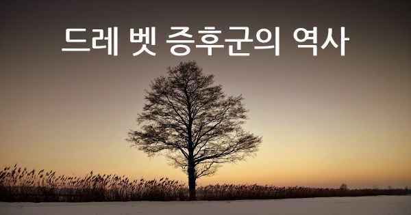 드레 벳 증후군의 역사