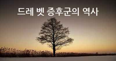 드레 벳 증후군의 역사