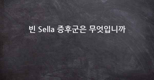 빈 Sella 증후군은 무엇입니까