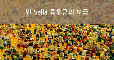 빈 Sella 증후군의 보급