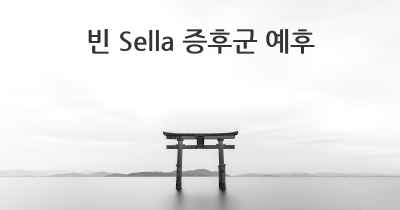 빈 Sella 증후군 예후