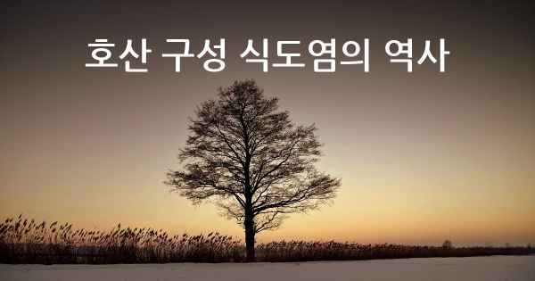 호산 구성 식도염의 역사