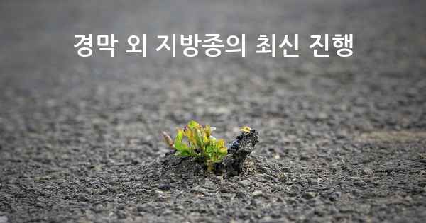 경막 외 지방종의 최신 진행