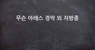 무슨 아레스 경막 외 지방종