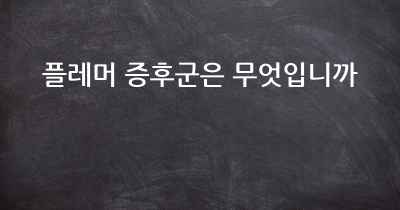 플레머 증후군은 무엇입니까