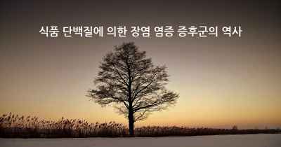 식품 단백질에 의한 장염 염증 증후군의 역사