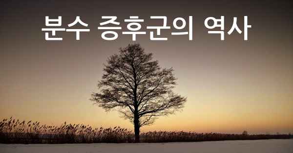 분수 증후군의 역사