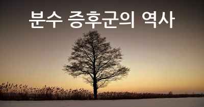 분수 증후군의 역사