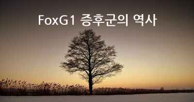 FoxG1 증후군의 역사