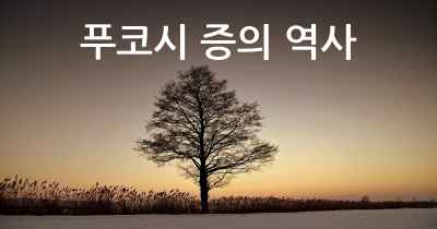 푸코시 증의 역사