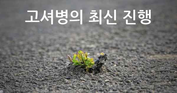 고셔병의 최신 진행