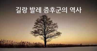 길랑 발레 증후군의 역사