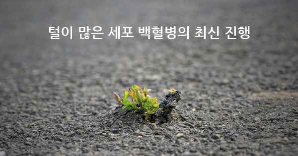 털이 많은 세포 백혈병의 최신 진행