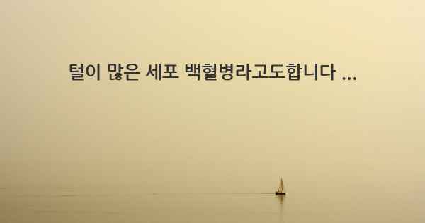 털이 많은 세포 백혈병라고도합니다 ...