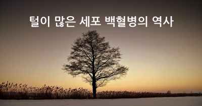 털이 많은 세포 백혈병의 역사