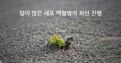 털이 많은 세포 백혈병의 최신 진행