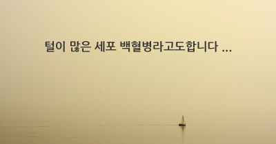 털이 많은 세포 백혈병라고도합니다 ...