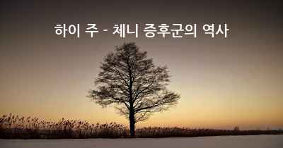 하이 주 - 체니 증후군의 역사