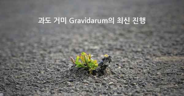 과도 거미 Gravidarum의 최신 진행