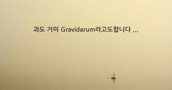 과도 거미 Gravidarum라고도합니다 ...