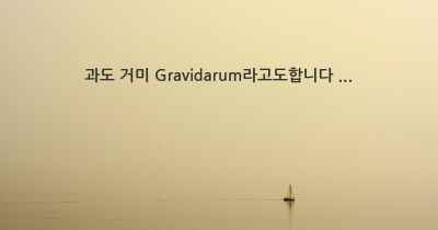 과도 거미 Gravidarum라고도합니다 ...